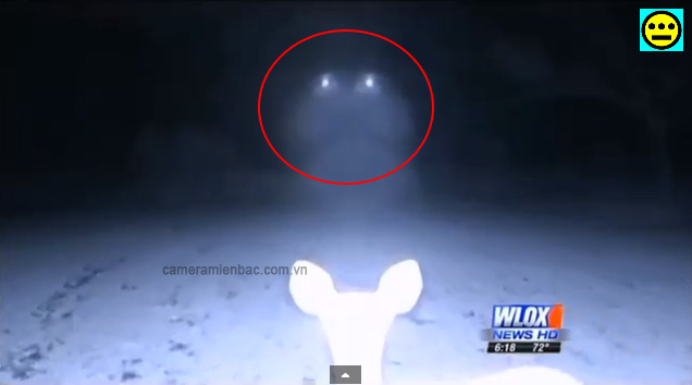 UFO xuất hiện trong video ghi lại từ camera giám sát