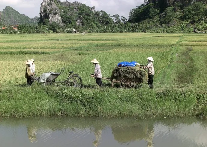 Nông nghiệp thông minh